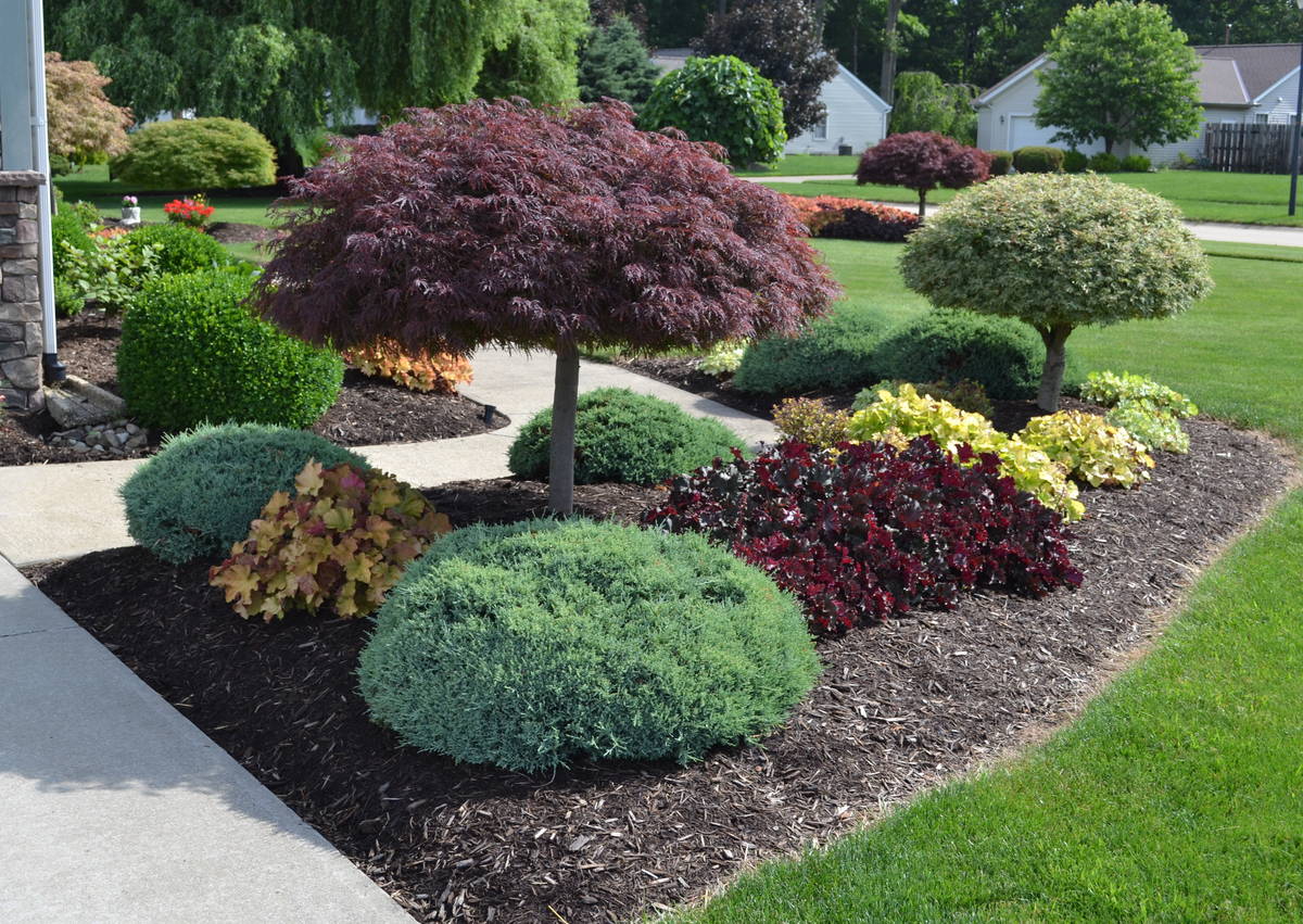 Landscape Design example 7